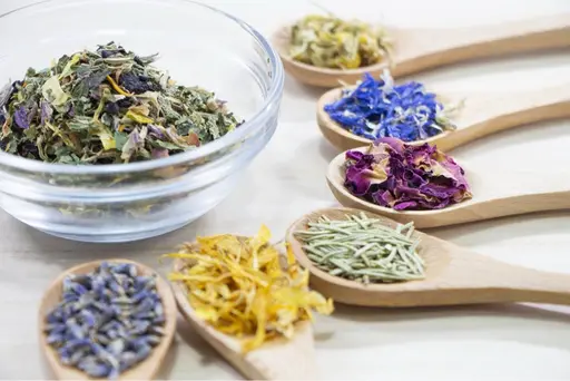 【２月キャンペーン1,000円OFF！】ハーブの読み取り®️よもぎ蒸し30分　通常4,000円→3,000円