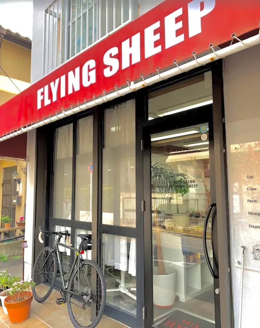 nail salon flying sheep