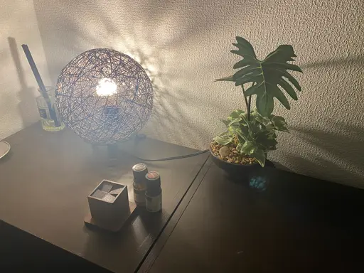 リラクゼーション整体てのひら