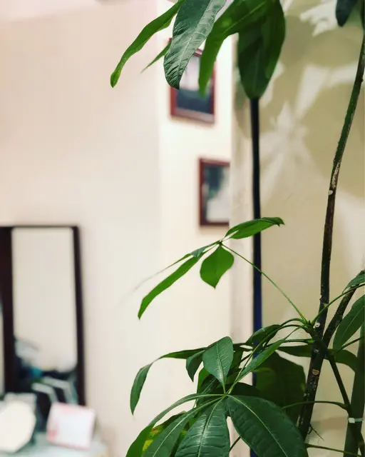 MIRAC脱毛サロン