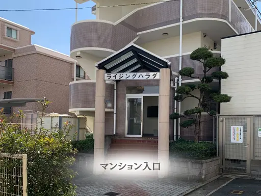 顔ヒゲ脱毛専門店｜EMoTion