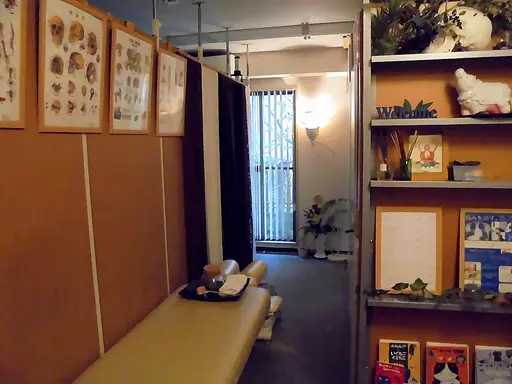 骨格矯正 SkeletalAbjustment 南青山院