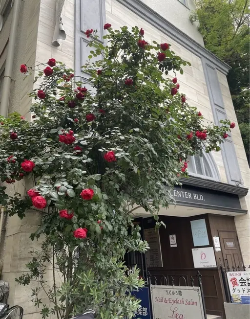 ネイルサロンダイアモンド