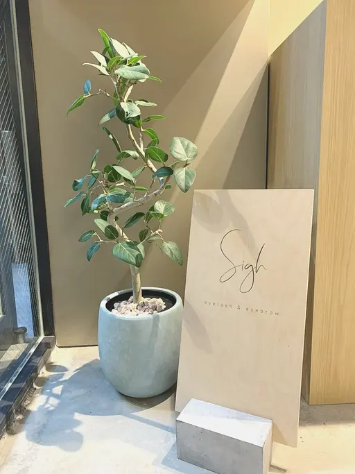 Sigh eyelash &eyebrow