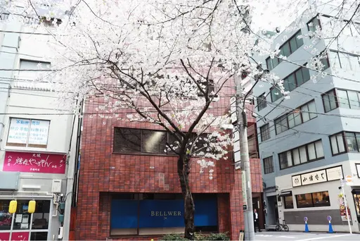 サクラサク鍼灸カイロプラクティック　日本橋茅場町院