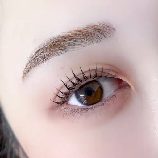 パリブロウリフト🇫🇷眉毛の毛流れをキレイに✨️