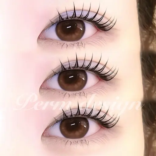 🍁11月限定 【 パリジェンヌラッシュリフト or まつ毛パーマ 】美容コーティング仕上げ🍁