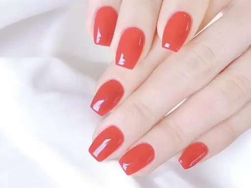 【オフなし】ワンカラーモデル