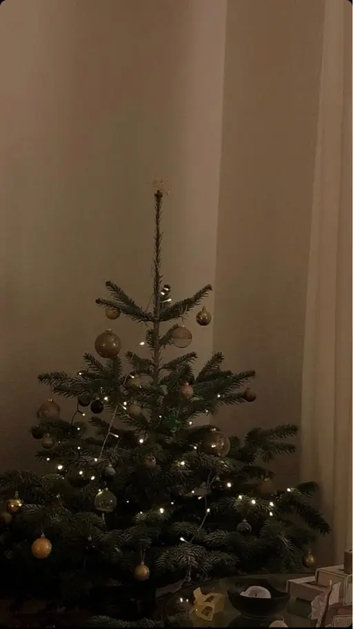 «期間限定🎫ˊ˗»ラッシュリフト