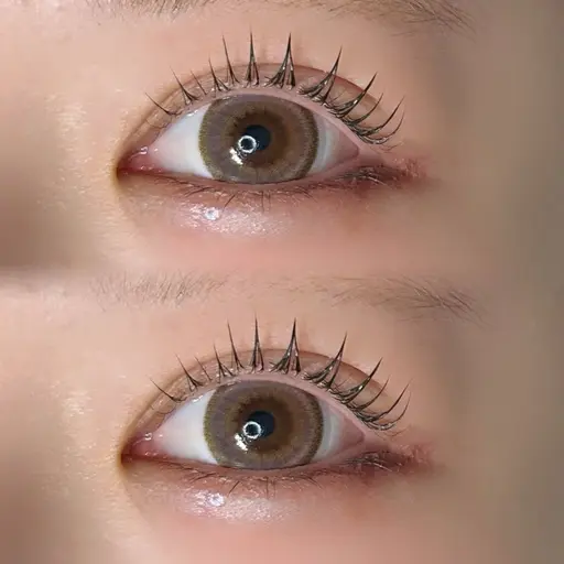 ︴4回目以降の方🤍 ︴パリジェンヌ or ラッシュリフト〔アイシャンプー付き〕