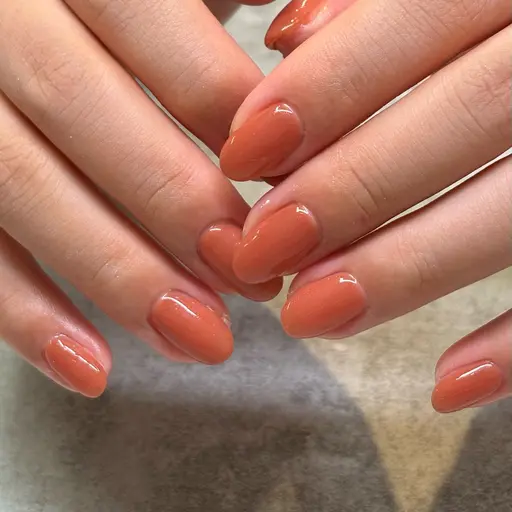 《オフなし》ワンカラー・マグネット･フラッシュ✨️フィルインオフ