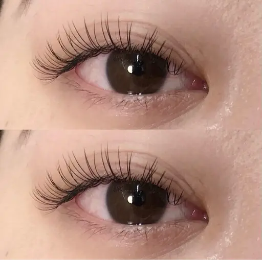 11/18マツエク100本オフなし🎀🤍(10:00/16:15ご来店):無料モデル