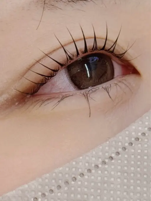 上まつげパーマ技術モデル様募集🩰✨