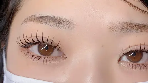 【OPEN記念】上下で目力UP💗フラットラッシュ上下(上140本まで+下30本まで)お目元を華やかに🌸