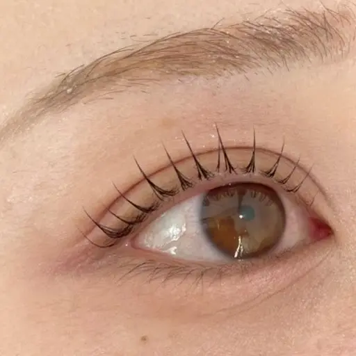 👑モデル募集中👑まつ毛パーマ👀コーティング付き✨