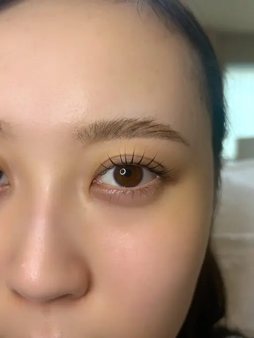 上まつげパーマモデル🤎※補足説明欄必ずご覧下さい