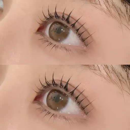 🩷選べるまつげパーマ 上下🎀