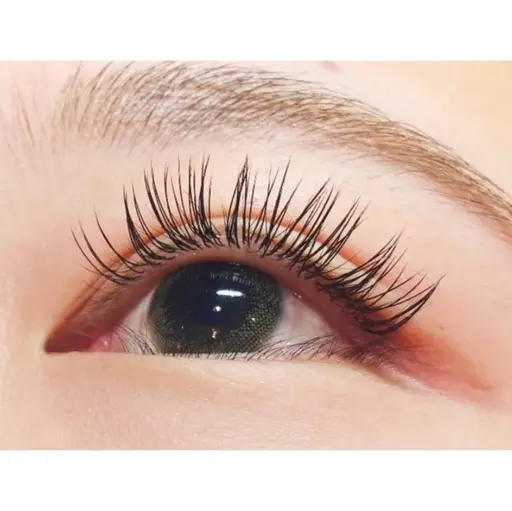 ‼️モデル募集‼️アップワードラッシュ マツエク110本前後(⚠️募集要項要確認)