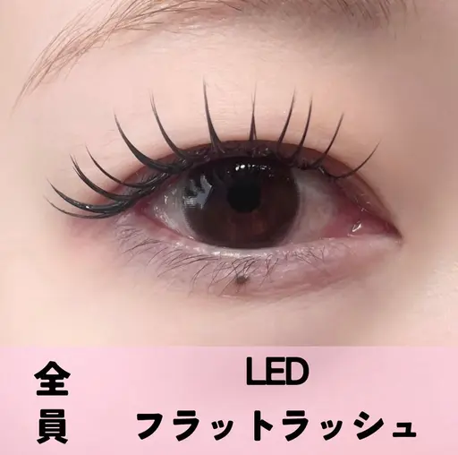 🎀flat lash100本🩰˗ˏˋ 補足説明を必ずお読みくださいˎˊ˗