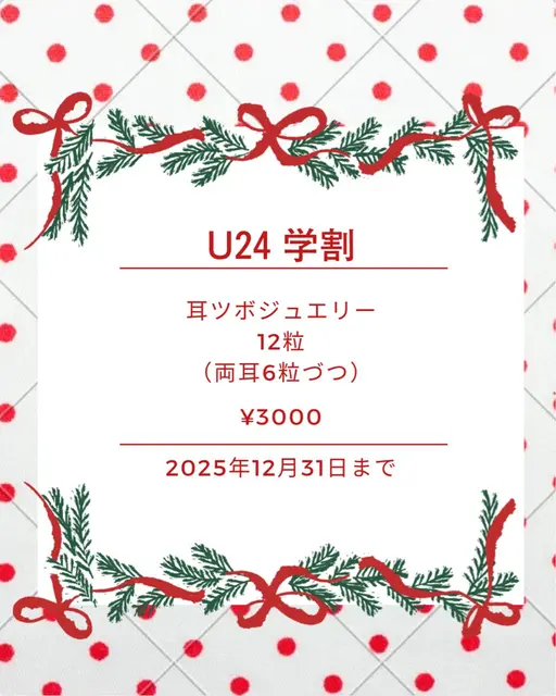 ❤️U24学割💚耳ツボジュエリー12粒¥3000
