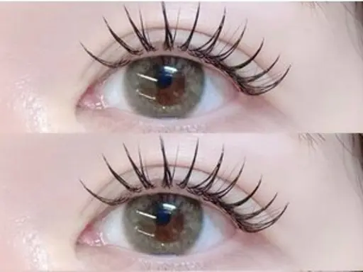 大特価🙌🏻12月11限定☘️新規様☘️ 🧚🏻‍♀️フラットラッシュ120本