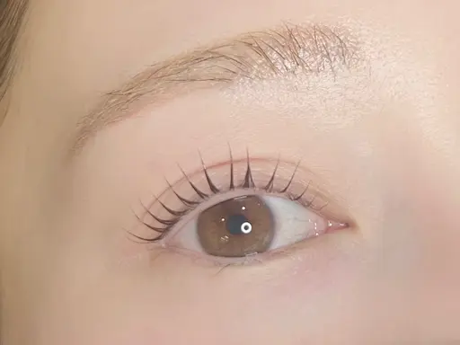 【 ラッシュアディクト付き💖 】似合わせまつげパーマ🍊（アイシャンプー付き）（パリジェンヌ🉑）