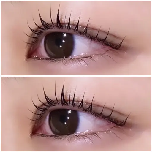 🐣12/8限定クーポン🐣まつ毛パーマ👀💫(オフ込)