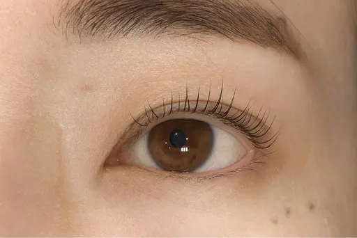 【期間限定】パリジェンヌラッシュリフト🎀🪽