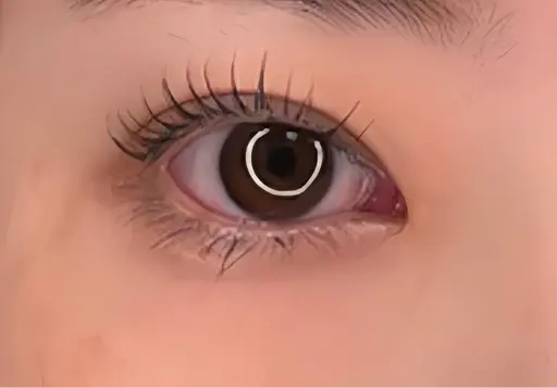 ❤️‍🔥11月3日限定❤️‍🔥まつ毛パーマ🍀(上のみ)