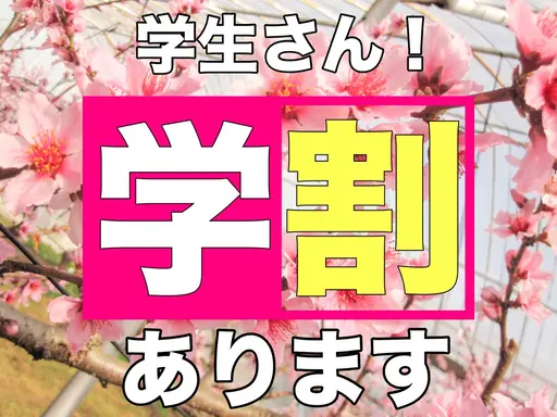 【ミニモ学割】90分アートやり放題♡オフなし【ネイルが初めての方歓迎】