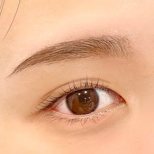 🎀【 平日限定】🎀 美眉スタイリング(眉毛・アイブロウワックス)✨