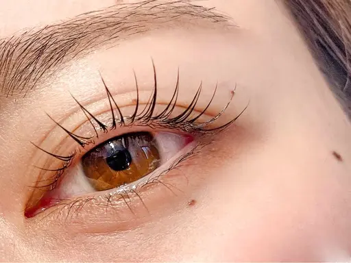 ‼️集まり次第終了‼️【11/7  17:00のみ】まつげパーマテストモデル