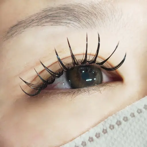 ジェットブラック💫40束