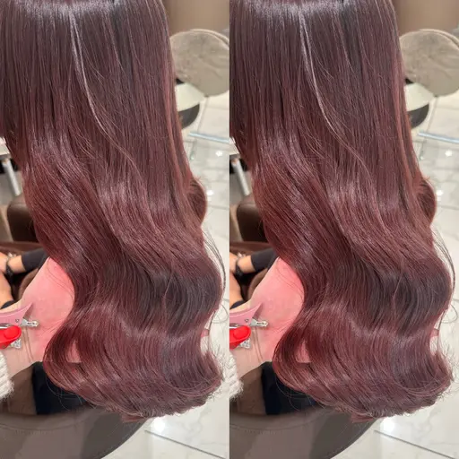 🏁【12月19日まで・平日限定価格💖】プレミアムケアカラー🪄