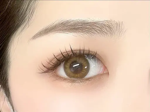 フラットラッシュ　120本（オフ込み）