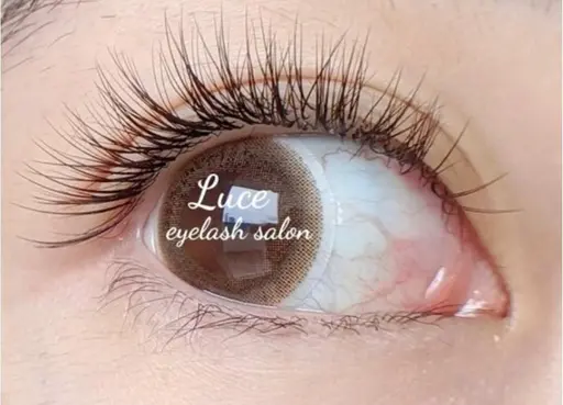 🍂11月限定🍂ボリュームラッシュ3-4D  80束