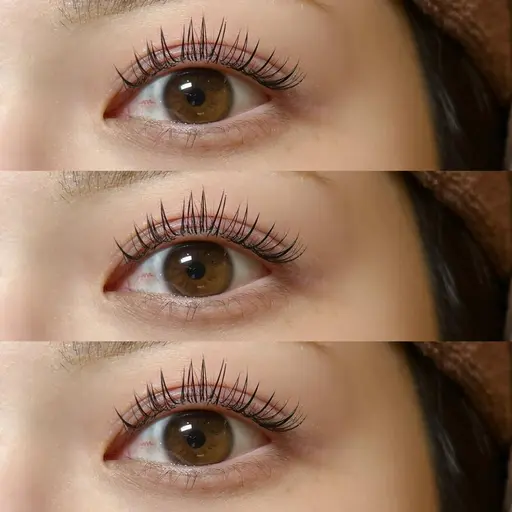 🌟本日！12/12[20:30~] アンドヘルシー（フラットラッシュ120本＋まつ毛パーマ）練習モデル🩵 オフ可能