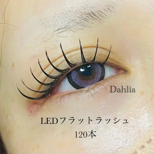 【LEDエクステ】フラットラッシュ80本