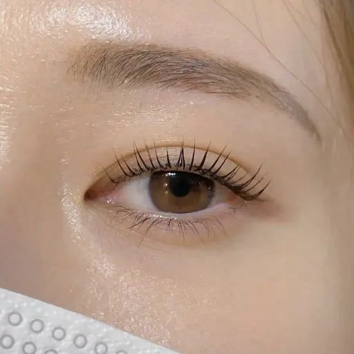 モニター価格【無添加まつ毛パーマ】