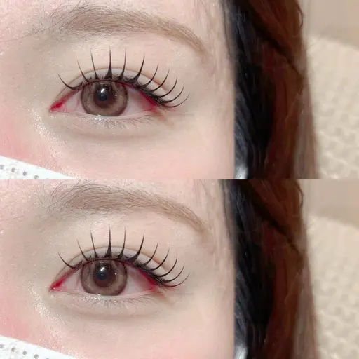 【初回限定】バインドロック80束