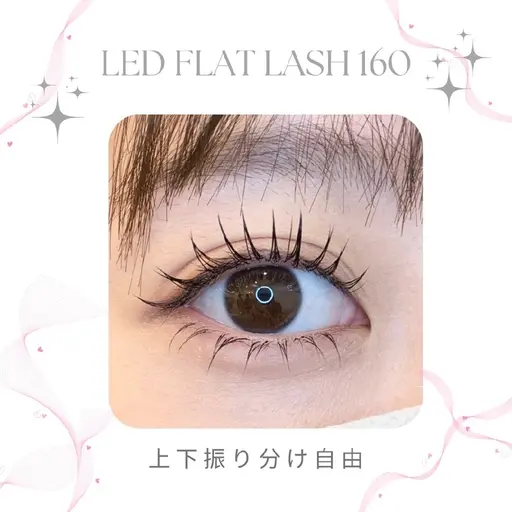❣️ LEDフラット上下160本❣️(振り分け自由) 束感仕上げ🎀