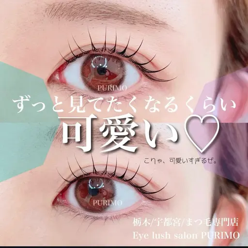 【モニター価格】上ラッシュリフト（まつ毛パーマ）¥4600※現金払い