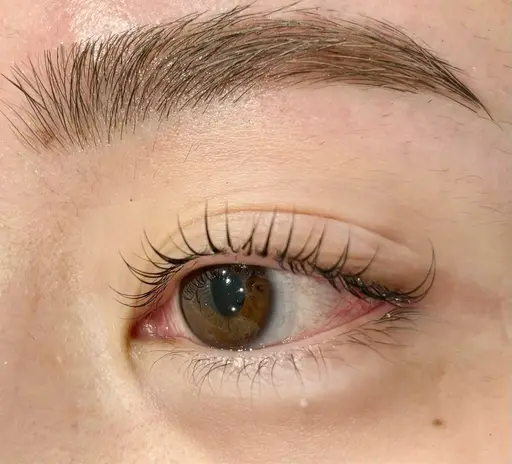 【🎀急募レッスンモデル募集🎀】eye blow wax✨ 補足説明必読❕