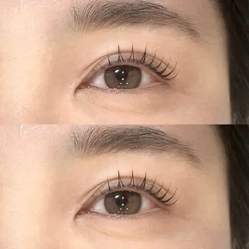 ●パリジェンヌラッシュリフト●¥6,600→¥4,480(minimo限定)