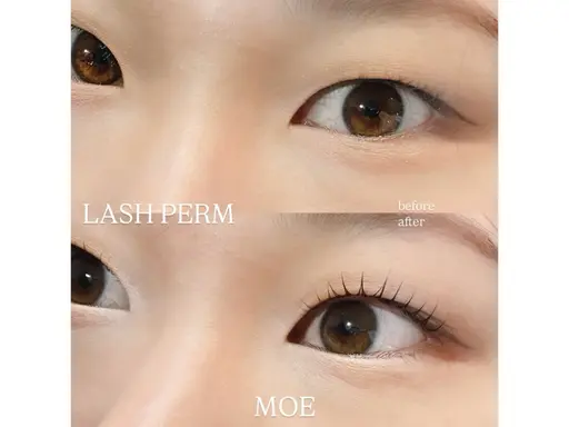 ✨ご新規様限定✨️まつげパーマ(上)