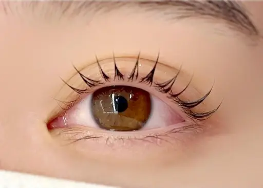 【🎄12月4日限定🎅🏻】似合わせまつパ🤍