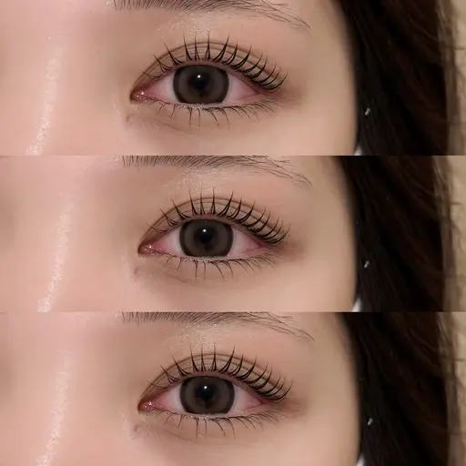 【平日限定お得クーポン❄️】🎀まつ毛パーマ🎀仕上げコーティング付き(パリジェンヌも可♡)