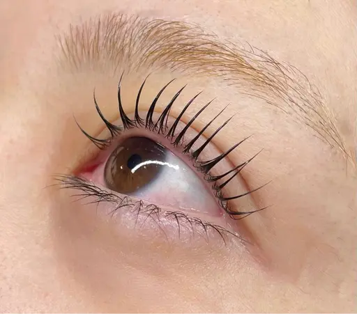 12/13(土)限定❣️ラッシュリフト上💜(仕上げコーティング付き)半額の¥3000でご案内しております♪