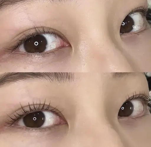 🌷12/6.7.8限定🌷選べるマツパ¥6600→¥3980 ⚠︎折り返し確定/現金不可