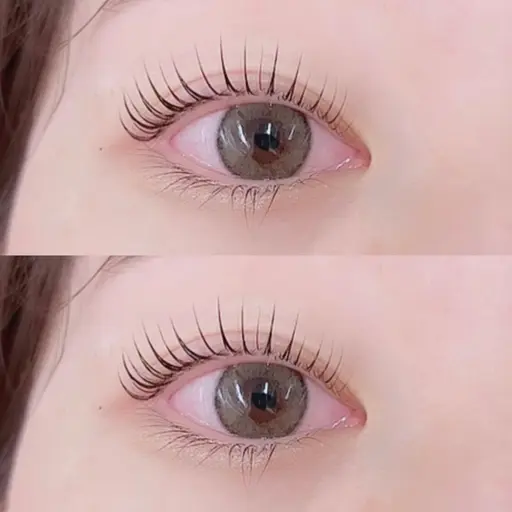 2名様限定🎀まつ毛パーマ+アイブロウワックスor下まつげパーマ✨(パリジェンヌ、ラッシュリフト等種類なんでも対応可能)
